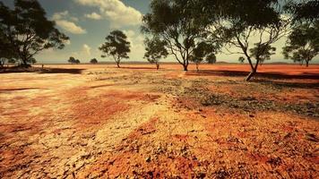 terra arida senza acqua foto