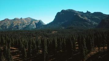 veduta aerea della strada di montagna e della foresta foto