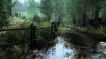 paesaggio con staccionata in legno prato erboso e sentiero foto