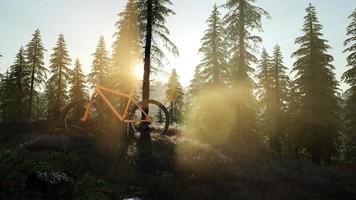 bicicletta nella foresta di montagna foto