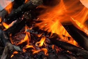 fuoco e rami di albero in fiamme da vicino foto