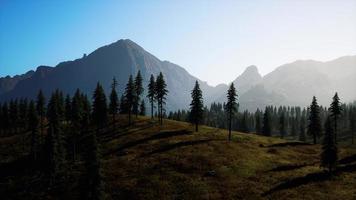 vista panoramica della catena montuosa con alberi in autunno foto