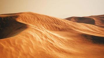 vista delle belle dune di sabbia al parco nazionale delle dune di sabbia foto