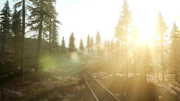 volo su una ferrovia circondata da boschi con raggi di sole foto