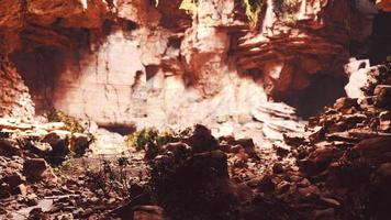 grande grotta rocciosa delle fate con piante verdi foto