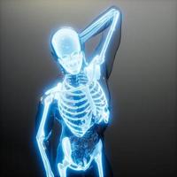 corpo umano trasparente con ossa visibili foto