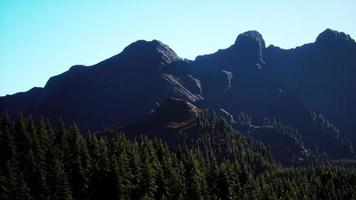 colpo grandangolare del paesaggio montano con foresta primaverile foto