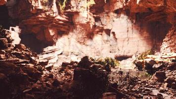 grande grotta rocciosa delle fate con piante verdi foto