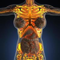 anatomia scientifica del corpo umano ai raggi X con ossa dello scheletro bagliore foto