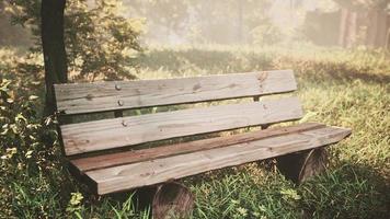 salotto sul sentiero a valle foto