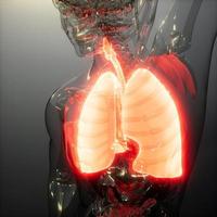 esame di radiologia dei polmoni umani foto
