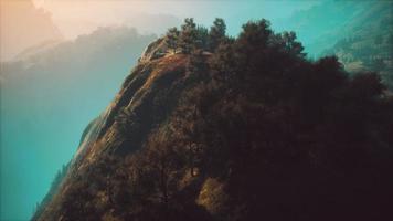 tramonto in montagna con erba verde e alberi foto