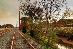 ferrovia bella foresta autunnale luminoso caldo foto