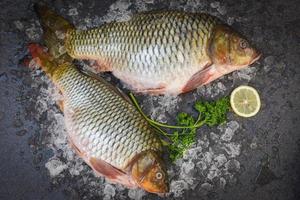 pesce carpa, pesce crudo fresco su ghiaccio per cibi cotti con prezzemolo limone e sfondo scuro, mercato ittico d'acqua dolce della carpa comune foto