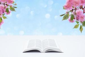 aprire la Sacra Bibbia sul tavolo sullo sfondo dei fiori di ciliegio primaverili. sfondo di pasqua cristiana, carta religiosa foto