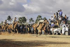 giovani fantini in corridori di cavalli alla cultura tradizionale della corsa di cavalli di hus dall'isola di rote, nusa tenggara orientale, indonesia. rote, indonesia - 27 marzo 2020 foto