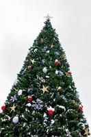 albero di natale su sfondo bianco. foto