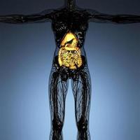 anatomia scientifica del corpo della donna con sistema digestivo luminoso foto