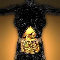 anatomia scientifica del corpo della donna con sistema digestivo luminoso foto
