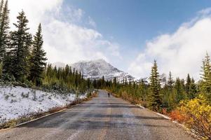 strada asfaltata con montagne rocciose e nebbia nella pineta al parco nazionale di banff foto