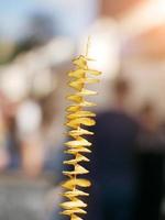 patatine fritte su un bastoncino di legno foto