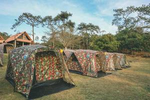 provincia di loei, tailandia dicembre 2021 l'atmosfera intorno alla tenda del parco nazionale di phu ruea. molti viaggiatori sono in campeggio nel parco nazionale di phu ruea. foto