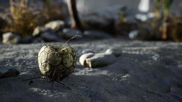 un vecchio pallone da calcio strappato lanciato giace sulla sabbia della spiaggia del mare foto