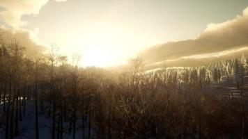 maestoso paesaggio invernale illuminato dalla luce del sole foto