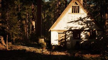 vecchia casa di legno nella foresta d'autunno foto