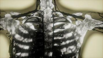 scansione delle ossa dello scheletro umano incandescente foto