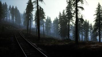 area ricreativa forestale nazionale e la nebbia con la ferrovia foto