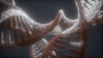 struttura ad anello a doppia elica dell'animazione ravvicinata del filamento di dna foto