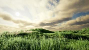 nuvole temporalesche sopra il prato con erba verde foto