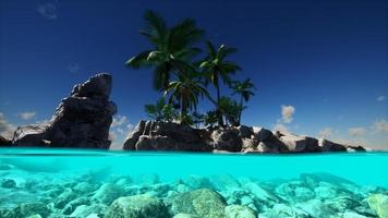 vista suddivisa sezione trasversale di acqua di mare e palme sull'isola foto