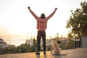 passeggiata mattutina di giovane cane labrador maschio e oro foto