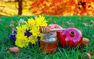 Rosh hashanah jewesh holiday concept - simboli tradizionali di miele, mela e melograno. foto