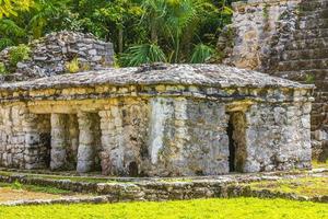 antico sito maya con rovine di templi piramidi manufatti muyil messico. foto