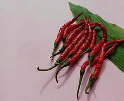 peperoncino rosso grande e peperoncino rosso riccio. con sfondo rosa foto