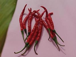 peperoncino rosso grande e peperoncino rosso riccio. con sfondo rosa foto