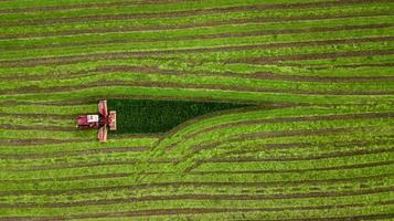 trattore falcia l'erba su una vista aerea di campo verde foto