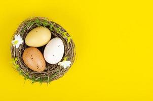 vista dall'alto delle uova colorate di Pasqua fatte a mano e del nido flatlay. sfondo primaverile dal design minimale alla moda. spazio per il testo. stuio foto