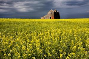 nuvole temporalesche canada casa abbandonata foto