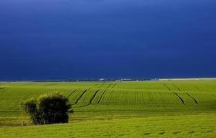 nuvole di tempesta della prateria foto