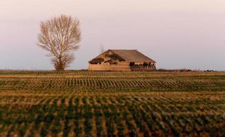 edifici abbandonati saskatchewan foto