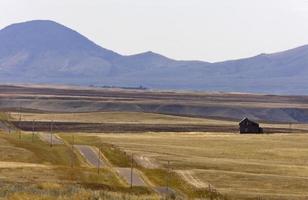 prateria di scena rurale dell'alberta meridionale foto