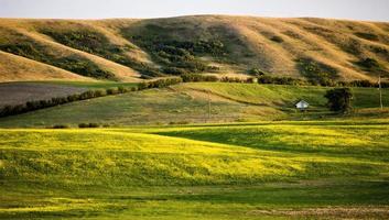 scena della prateria saskatchewan foto