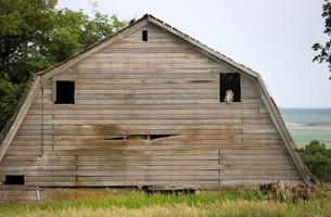 fienile della prateria saskatchewan foto