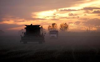 raccolto tramonto saskatchewan foto