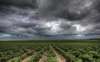 nuvole di tempesta saskatchewan foto