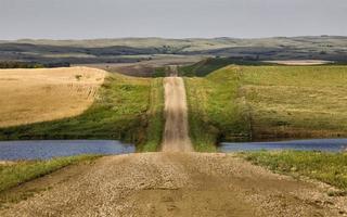 strada della prateria a griglia foto